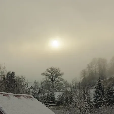 302 דירה אוסקדניצה